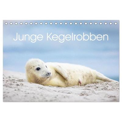 Junge Kegelrobben (Tischkalender 2027 DIN A5 quer), CALVENDO Monatskalender