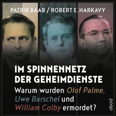 Im Spinnennetz der Geheimdienste - Patrik Baab,Robert E. Harkavy, Audio, 4066004652801