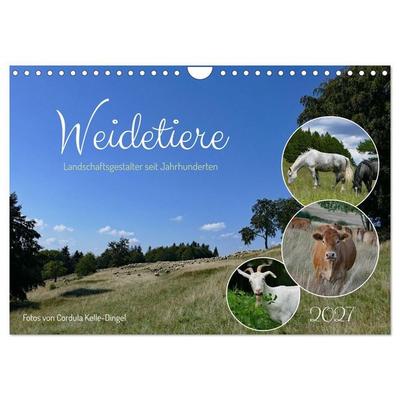 Weidetiere - Landschaftsgestalter seit Jahrhunderten (Wandkalender 2027 DIN A4 quer), CALVENDO Monatskalender