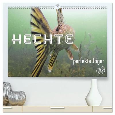 Hechte - perfekte Jäger (hochwertiger Premium Wandkalender 2027 DIN A2 quer), Kunstdruck in Hochglanz