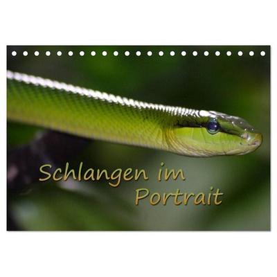 Schlangen im Portrait (Tischkalender 2026 DIN A5 quer), CALVENDO Monatskalender