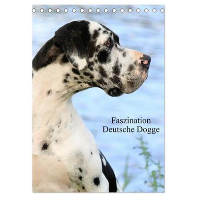 Faszination Deutsche Dogge (Tischkalender 2026 DIN A5 hoch), CALVENDO Monatskalender