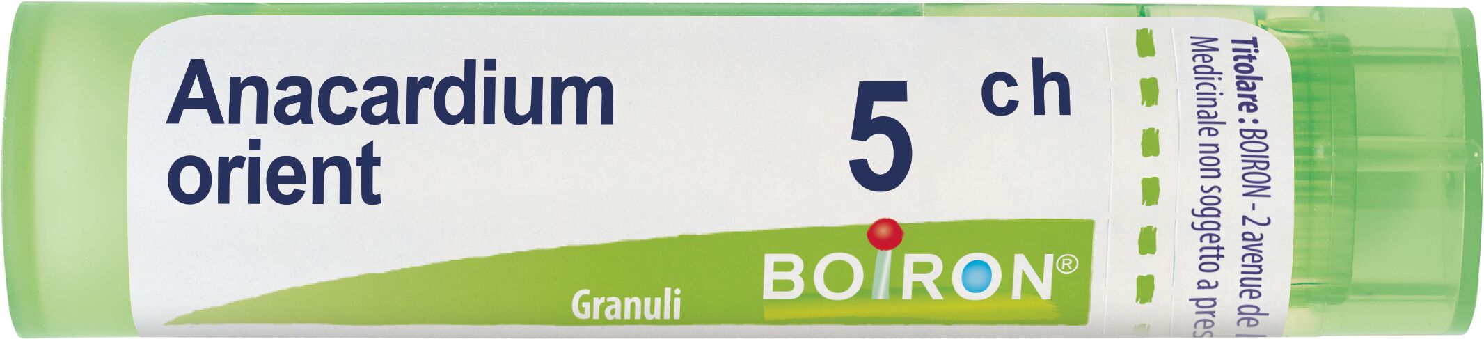 Anacardium Orientale 5ch Granuli Multidose Boiron