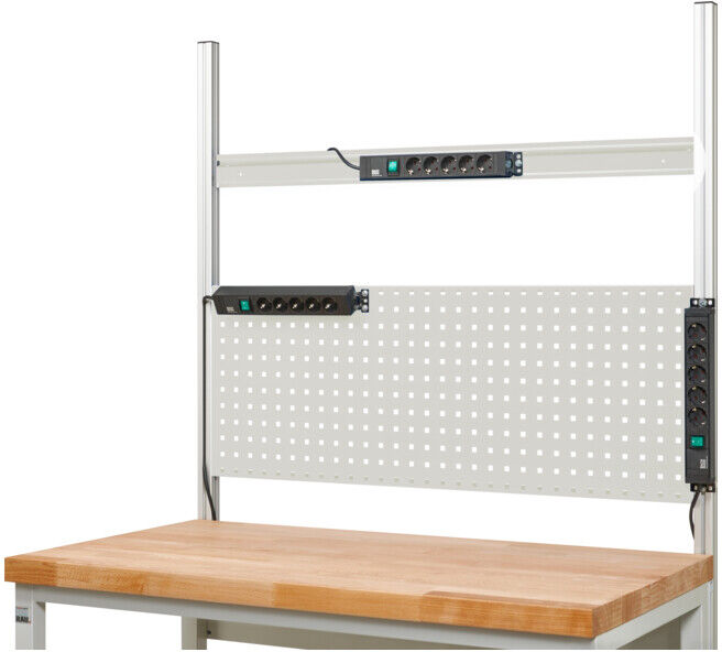 Barre d'énergie Rau 500mm 2x2 prises Schuko 230V 16A (E-EL-D-500)