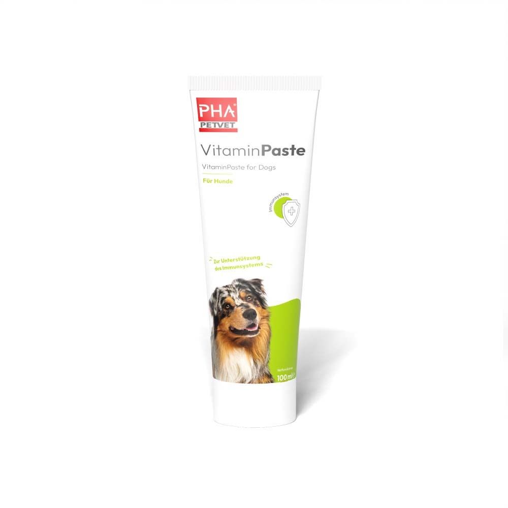 PHA VitaminPaste f.Hunde 100 ml Paste