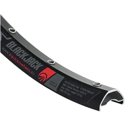 Rodi, Velofelge, (29")