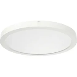 RIDI LED-Sanierungs-Downlight DALI, DA65-260mm SARA290 DAW #0332095