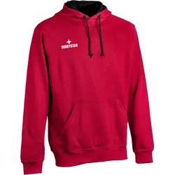DERBYSTAR Basic Hoodie rot S