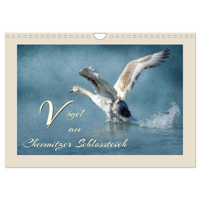 Vögel am Chemnitzer Schlossteich (Wandkalender 2026 DIN A4 quer), CALVENDO Monatskalender