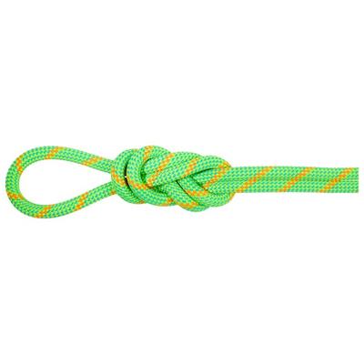 Mammut - 8.0 Alpine Dry Rope - Halbseil Länge 70 m grün