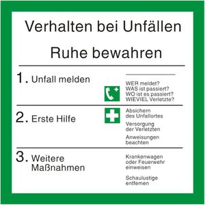 Abtec Hinweisschild ISO 7010, Kunststoff, 20x20 cm, Verhalten bei Unfällen
