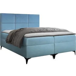 BOXBETT Fava - H3