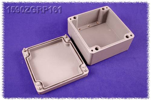 Hammond Electronics 1590ZGRP161PL 1590ZGRP161PL Einlegeplatte Stahlblech Natur 1St.