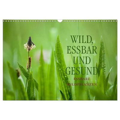WILD, ESSBAR UND GESUND Essbare Wildpflanzen (Wandkalender 2026 DIN A3 quer), CALVENDO Monatskalender