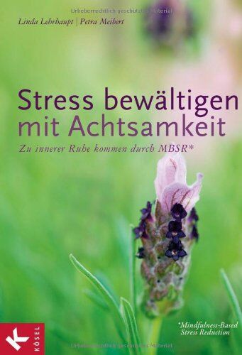 Linda Lehrhaupt - Stress bewältigen mit Achtsamkeit: Zu innerer Ruhe kommen durch MBSR* - *Mindfulness-Based Stress Reduction - Preis vom 12.10.2026 11:37:12 h