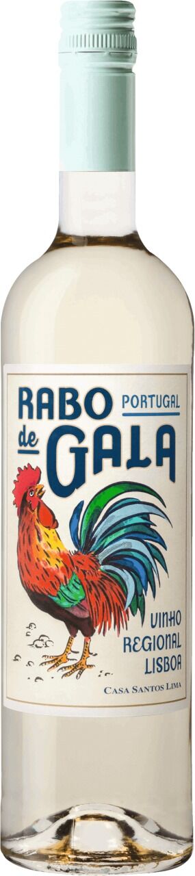 Rabo de Gala Branco - Vinho Regional Lisboa 2025 Casa Santos Lima