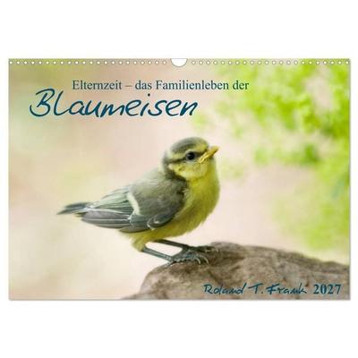 Elternzeit - das Familienleben der Blaumeisen (Wandkalender 2027 DIN A3 quer), CALVENDO Monatskalender