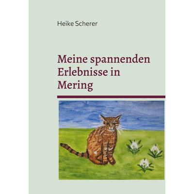 Meine spannenden Erlebnisse in Mering, Taschenbuch von Heike Scherer, BoD – Books on Demand, 978-3-7597-8397-4