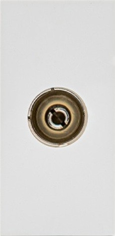 Maclean Kabeltelevisie stopcontact, modulaire wandcontactdoos zonder frame, wit