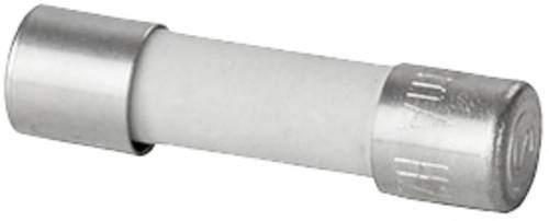Weidmüller 2780760000 RS-FUSE 5X20 10A250V F Feinsicherung 10A Flink -F- Inhalt 10St.