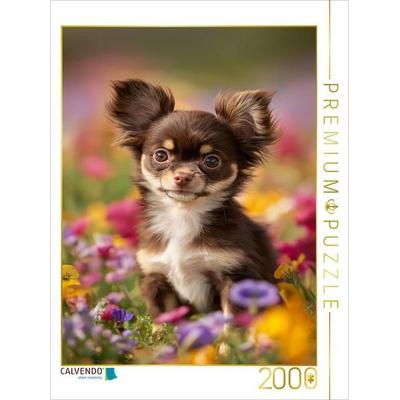 CALVENDO Puzzle Diese Ohren hören direkt ins Herz | 2000 Teile Lege-Größe 90x67cm Foto-Puzzle für glückliche Stunden, von , Calvendo Puzzle