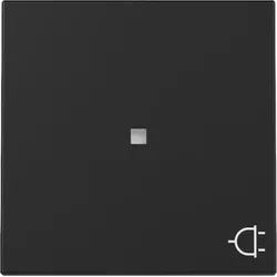 Gira 3291005 Wippe Kontrollf. + Symb. Steckd. System 55 Schwarz m(lack.)