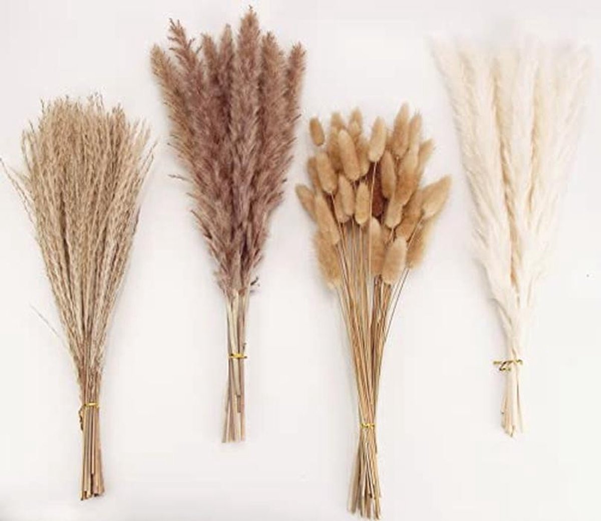 100 stuks Gedroogd pampasgras voor bruiloft en interieur decoratie in boho stijl