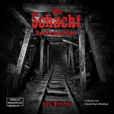Der Schacht - Anja Weinhold, Audio, 4066004858401