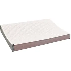 Nihon-Kohden EKG-Papier mit Millimeterfeld, 210 x 140 mm (210 Bl.)