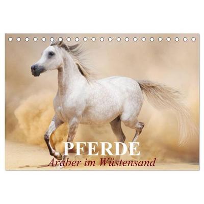 Pferde • Araber im Wüstensand (Tischkalender 2027 DIN A5 quer), CALVENDO Monatskalender