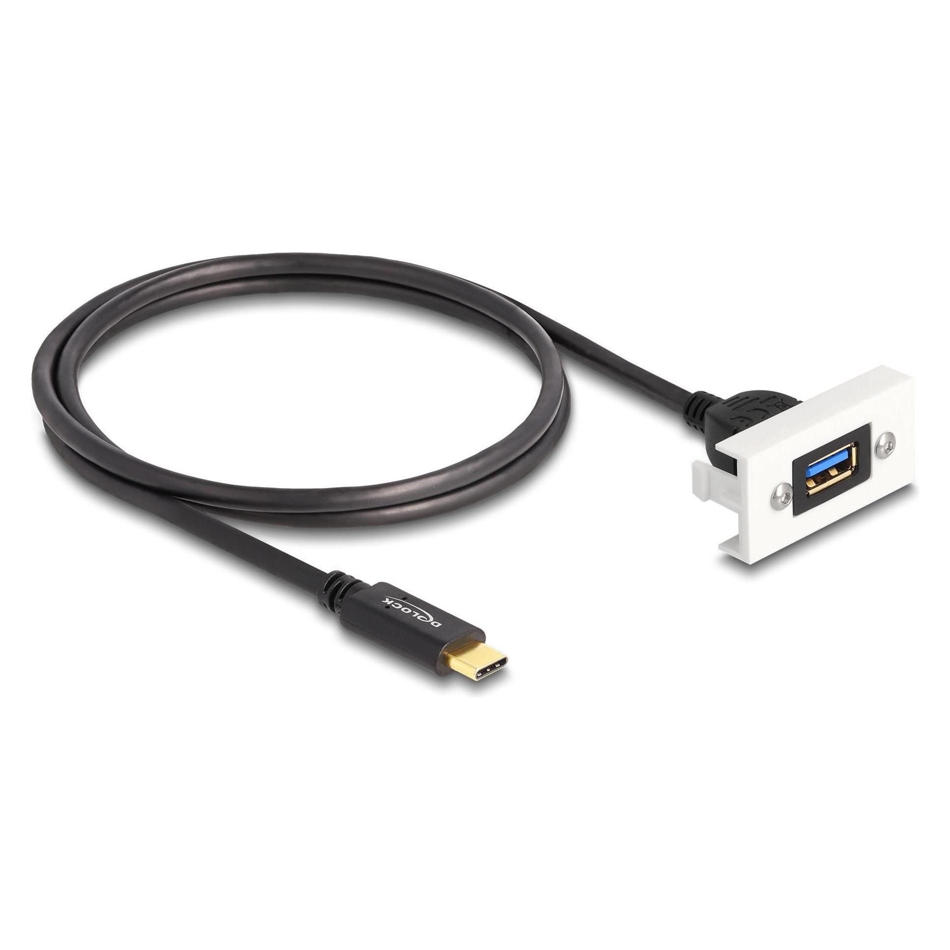 Delock Easy 45 Modul SuperSpeed USB 10 Gbps (1 m, USB 3.2 Gen 2) (81388)