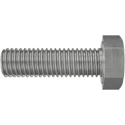 Fischer, Schrauben, Sechskantschraube SKS M8x20 A2
