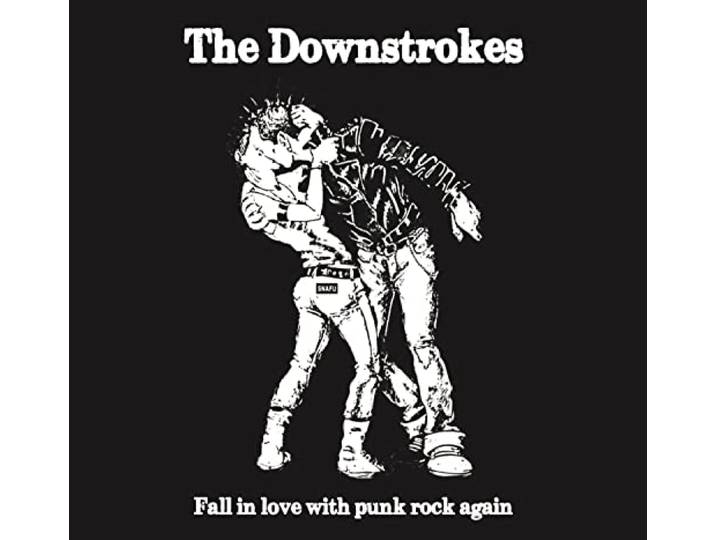 Fall In Love With Punk Rock Again