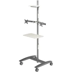 Dataflex Konferenztrolley VIEWMATE COMBO (Boden, 24", 15 kg), Monitor Halterung, Silber