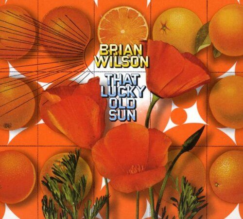 Brian Wilson - That Lucky Old Sun-Ltd (CD+Dvd) - Preis vom 09.10.2026 07:28:09 h