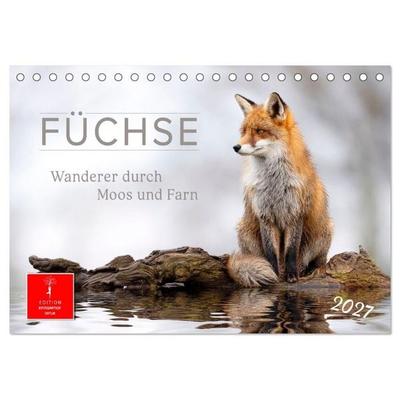 Füchse - Wanderer durch Moos und Farn (Tischkalender 2027 DIN A5 quer), CALVENDO Monatskalender