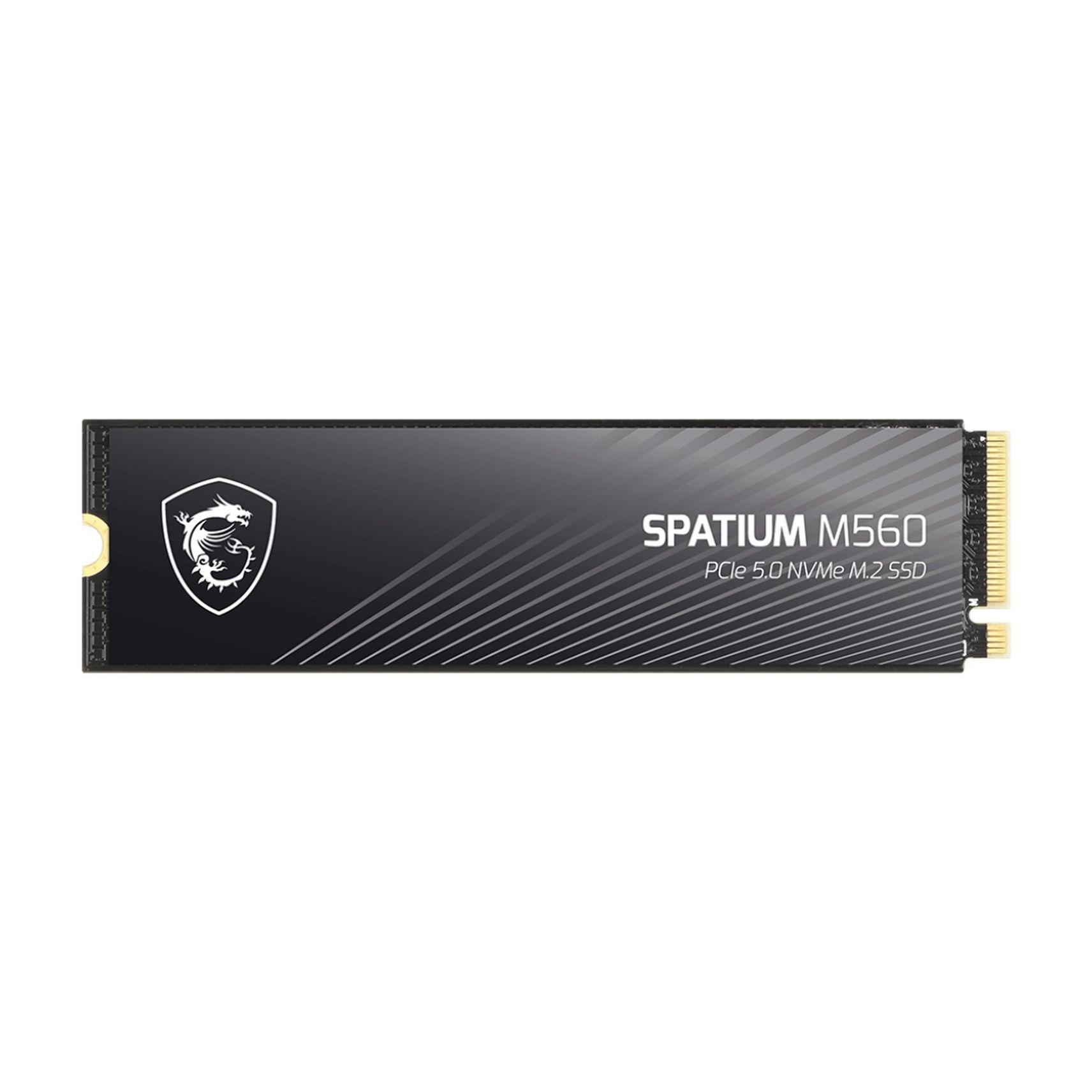 MSI Spatium M560 (1000 GB, M.2, M.2 2280) (SPATIUM M560 PCIE 5.0 NVME M.2 1TB)