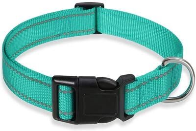 Uplifted Finds Reflective Adjustable Nylon Dog Collar For Small And Medium Pets m lake Blue