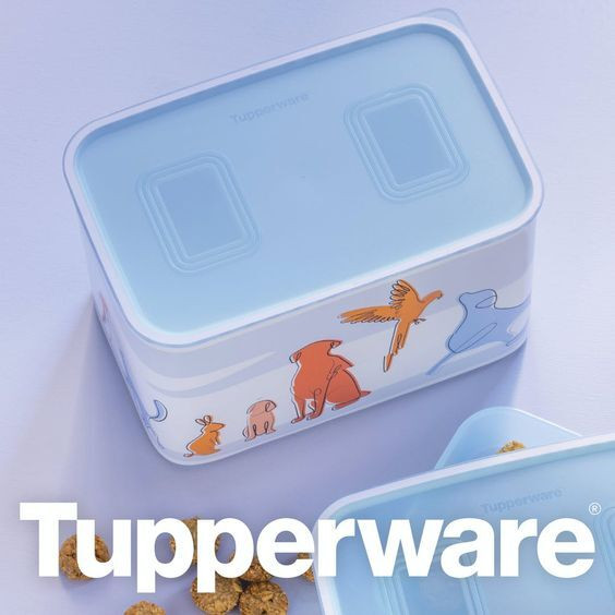 Tupperware Quadro Bewaardoos voor levensmiddelen, 4,6 liter, lichtblauw/wit