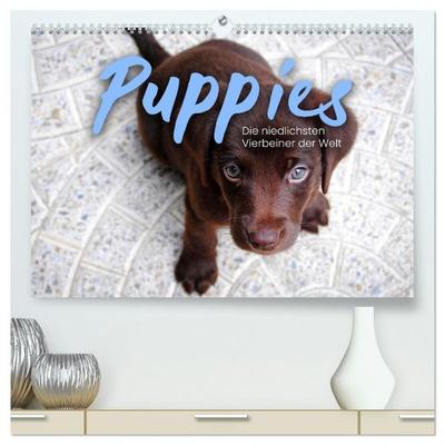 Puppies - Die niedlichsten Vierbeiner der Welt. (hochwertiger Premium Wandkalender 2027 DIN A2 quer), Kunstdruck in Hochglanz