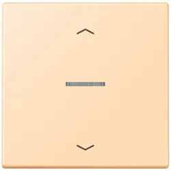 Jung Wippe mit Lichtleiter LC 101 KO5P 223