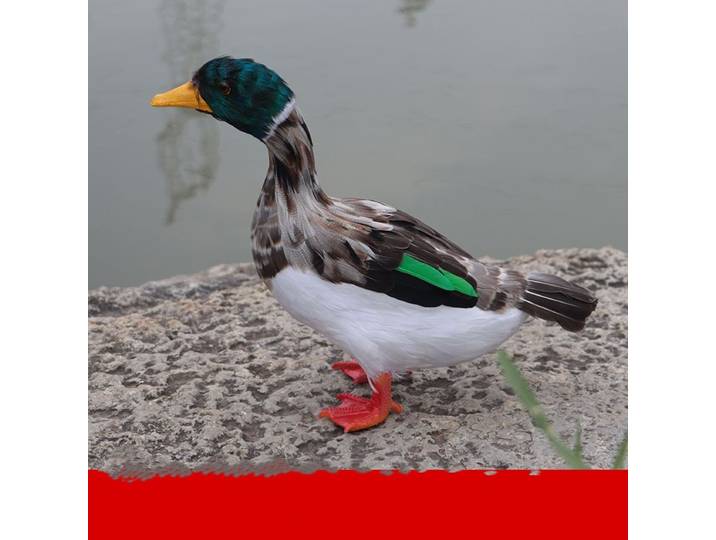 Canard en mousse et plumes, animal de simulation, environ 30x20x35cm, modèle artificiel, ornements, décoration de la maison, cadeau y770