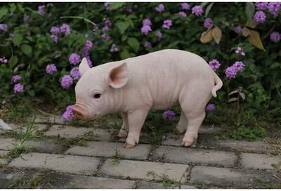 Hi-Line Gift Ltd. Standing Baby Pig