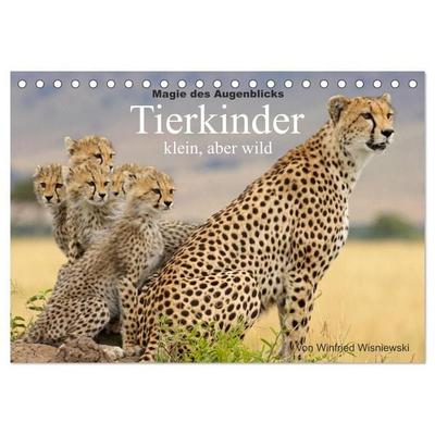 Magie des Augenblicks - Tierkinder - klein, aber wild (Tischkalender 2027 DIN A5 quer), CALVENDO Monatskalender