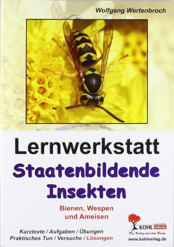 Wolfgang Wertenbroch - Lernwerkstatt Staatenbildende Insekten: Bienen, Wespen und Ameisen - Preis vom 09.10.2026 07:28:09 h
