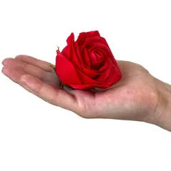Soap Flower Gift Bouquet - 9 Red Roses - Square