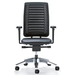 Girsberger Reflex mit Lumbalstütze - gepolsterter Bürodrehstuhl mit...