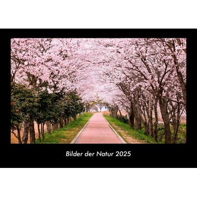 Bilder der Natur 2025 Fotokalender DIN A3