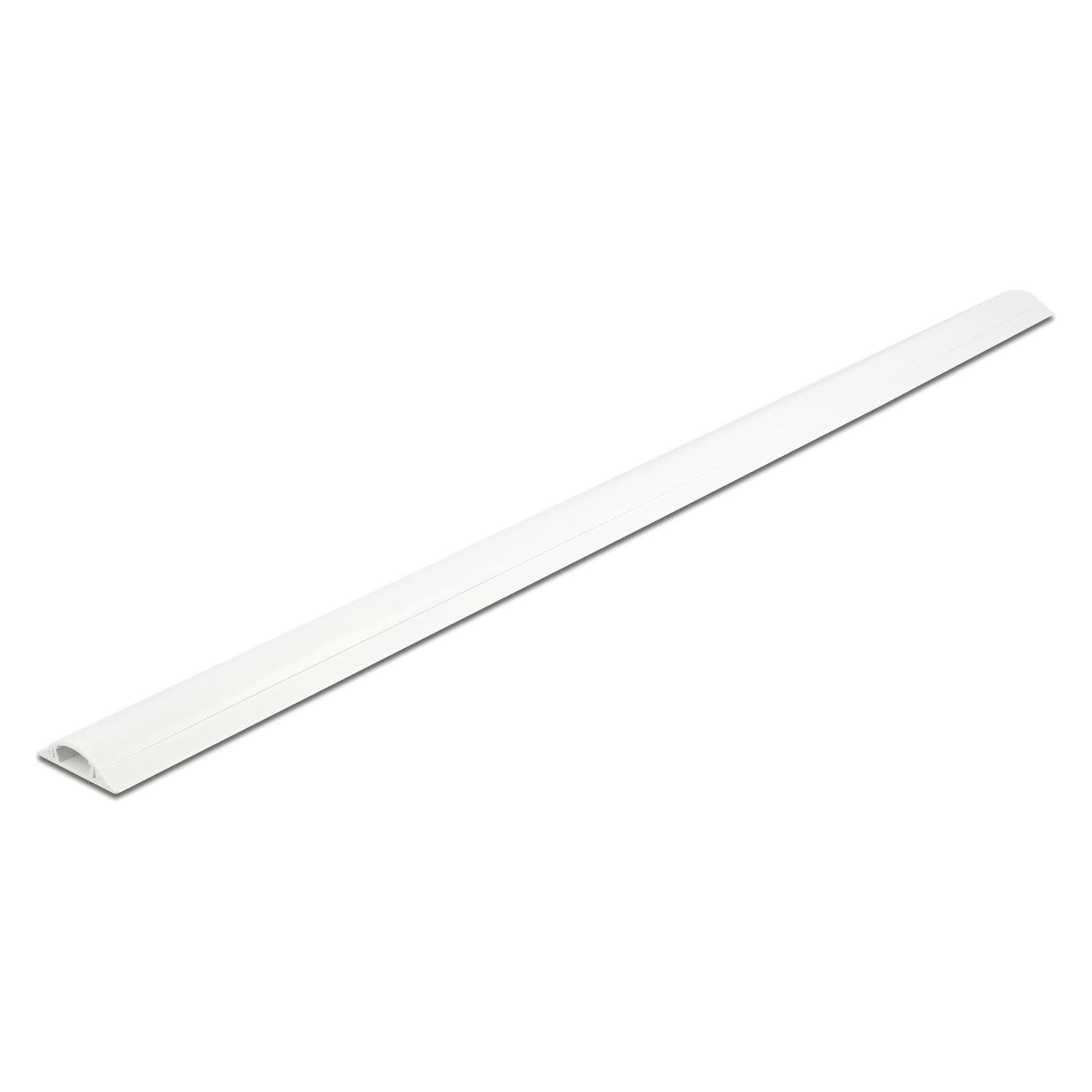 Delock Kabelkanal (Kabelkanal, 100 cm) (20704)