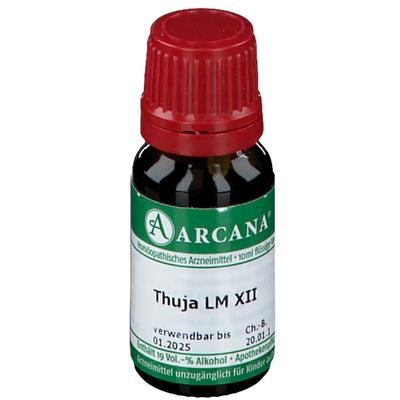 Thuja LM 12 Dilution 10 ml